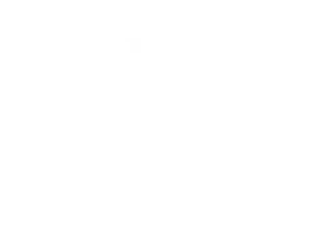 Logo LOU SANCHES